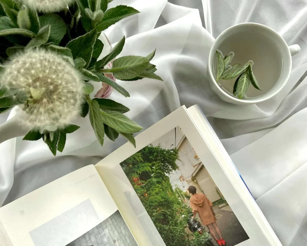 pexels-sunsetoned-5913138-_1_