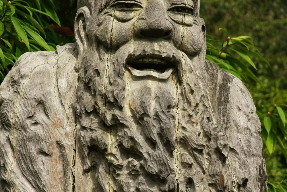 pexels-tonynojmansk-186688133-13113713-_1_-_1_